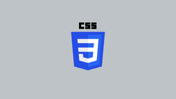 CSS Logo